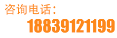 0391-3688998 